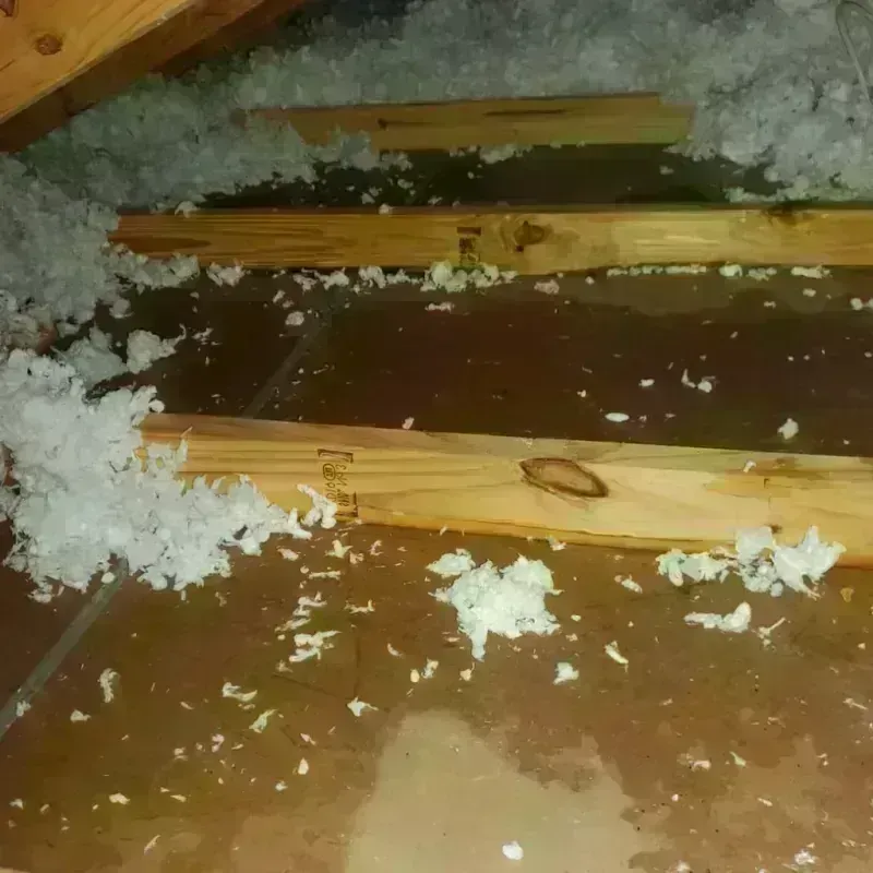 Attic Water Damage in Reno, TX