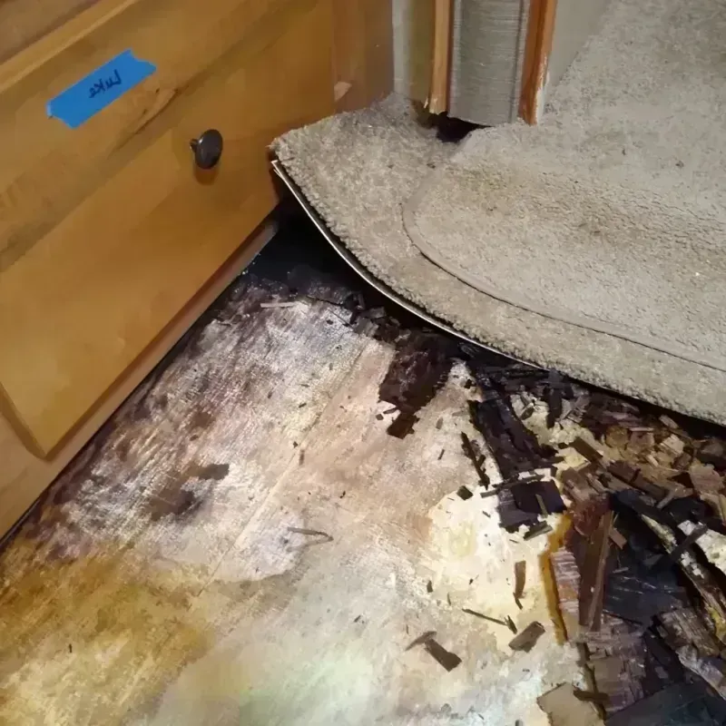 Wood Floor Water Damage in Reno, TX